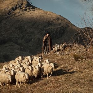 Fotoğraf Waiting for Anya