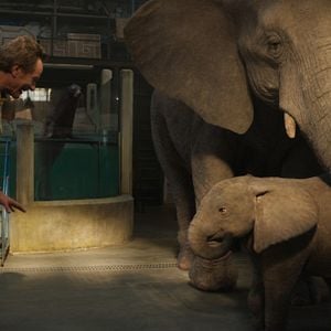 Fotoğraf The One and Only Ivan