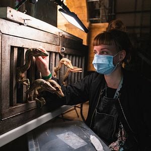 Fotoğraf Bryce Dallas Howard