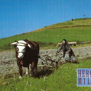 Fotoğraf Herbstmilch