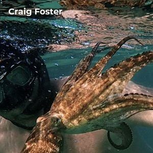 Fotoğraf My Octopus Teacher