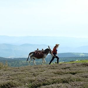 Fotoğraf Antoinette dans les Cévennes
