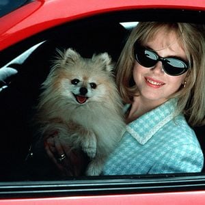 Fotoğraf Sonsuz İhtiras