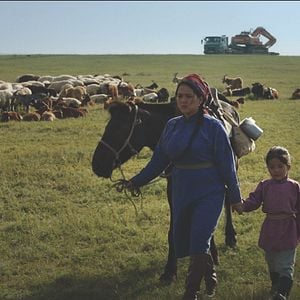 Fotoğraf Veins Of The World