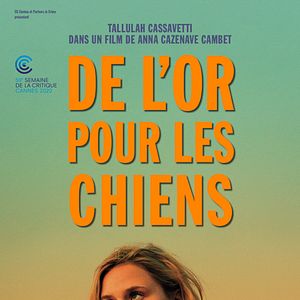 Fotoğraf De l’or pour les chiens