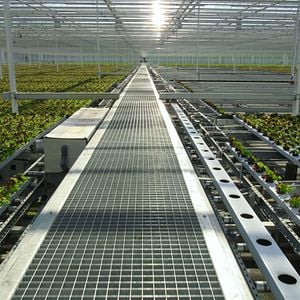 Fotoğraf David Attenborough: Gezegenimizde Bir Yaşam