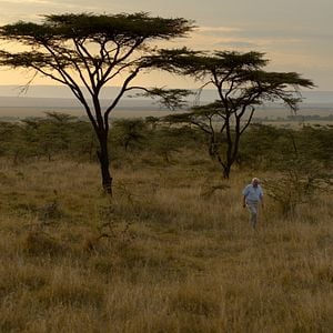 Fotoğraf David Attenborough: Gezegenimizde Bir Yaşam