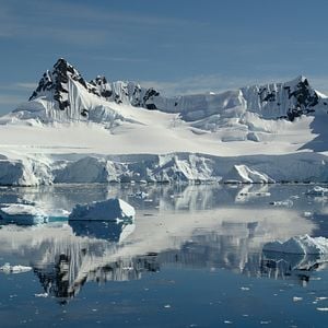 Fotoğraf David Attenborough: Gezegenimizde Bir Yaşam