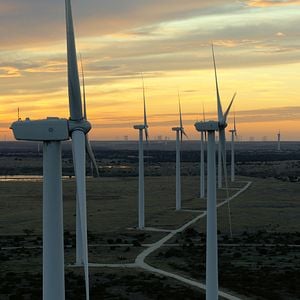 Fotoğraf David Attenborough: Gezegenimizde Bir Yaşam