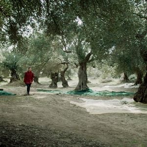 Fotoğraf Semina il vento