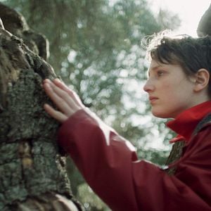 Fotoğraf Semina il vento