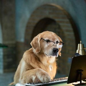 Fotoğraf Cats & Dogs 3: Paws Unite