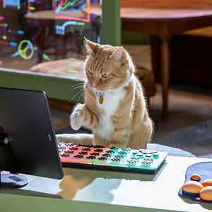 Fotoğraf Cats & Dogs 3: Paws Unite