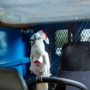 Fotoğraf Cats & Dogs 3: Paws Unite