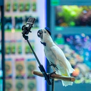 Fotoğraf Cats & Dogs 3: Paws Unite