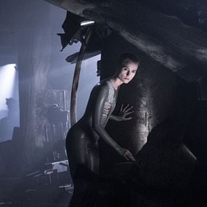 Fotoğraf Amanda Collin