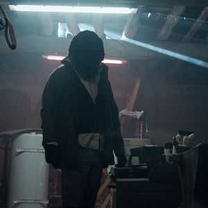 Fotoğraf Les Animaux anonymes