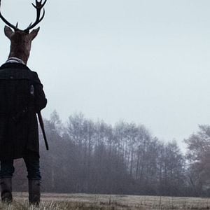 Fotoğraf Les Animaux anonymes