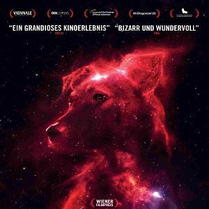 Fotoğraf Space Dogs