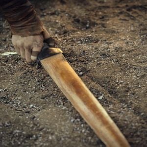 Fotoğraf The Witcher