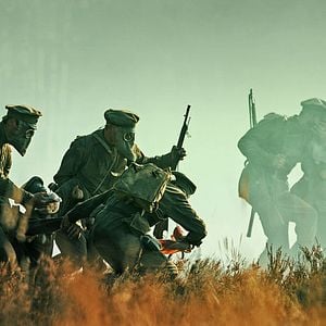 Fotoğraf Dveselu putenis