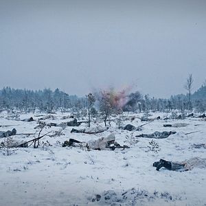 Fotoğraf Dveselu putenis