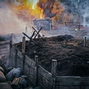 Fotoğraf Dveselu putenis