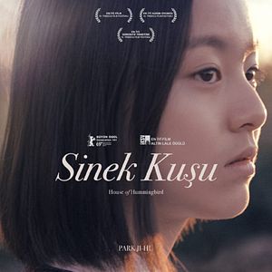 Fotoğraf Sinek Kuşu