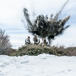 Fotoğraf A.J. Buckley