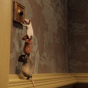 Fotoğraf Roald Dahl’s The Witches