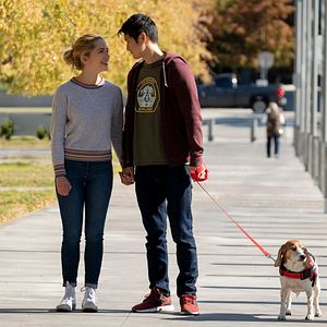 Fotoğraf All My Life