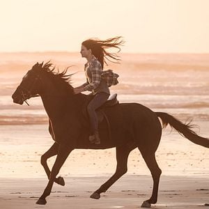 Fotoğraf Black Beauty