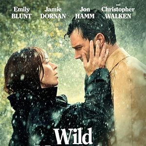 Fotoğraf Wild Mountain Thyme