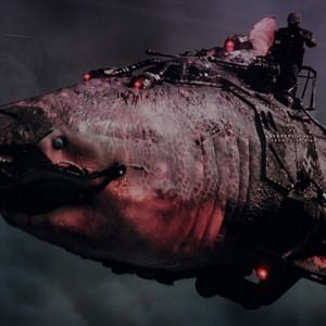 Fotoğraf Sky Sharks