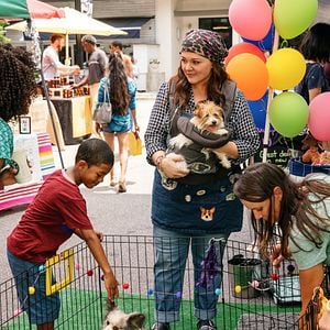 Fotoğraf Melissa McCarthy