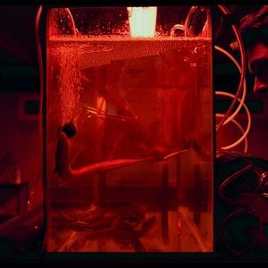 Fotoğraf Trey Tucker