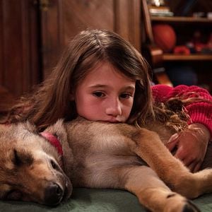 Fotoğraf Shanna Keil