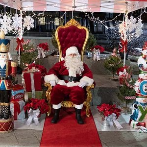 Fotoğraf Christmas On Ice