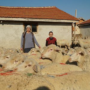 Fotoğraf Gönül Dağı
