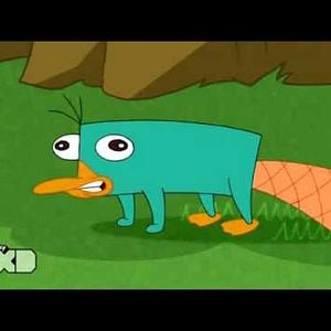 Fotoğraf Phineas and Ferb