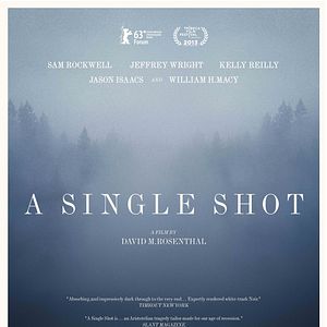 Fotoğraf A Single Shot