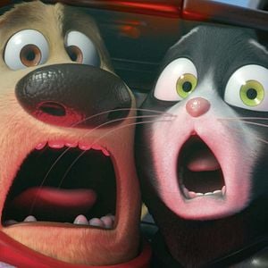 Fotoğraf Süper Köpek ve Turbo Kedi