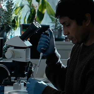 Fotoğraf Son of Monarchs