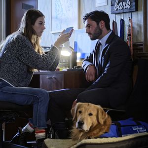 Fotoğraf In the Dark (2019)