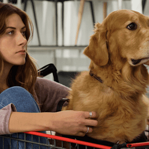 Fotoğraf In the Dark (2019)