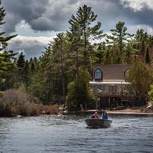 Fotoğraf Le Loup et le Lion