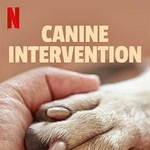 Fotoğraf Canine Intervention