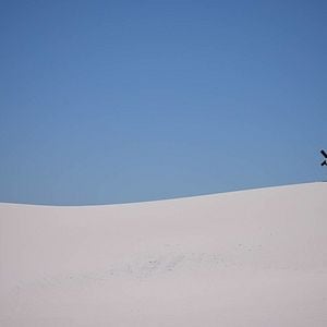 Fotoğraf The Forgiven