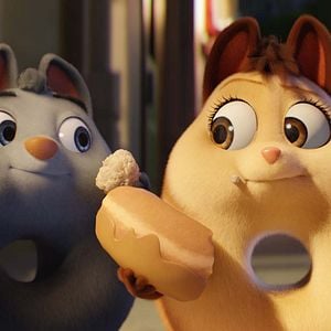 Fotoğraf Türünün Son İki Örneği