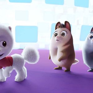 Fotoğraf Türünün Son İki Örneği